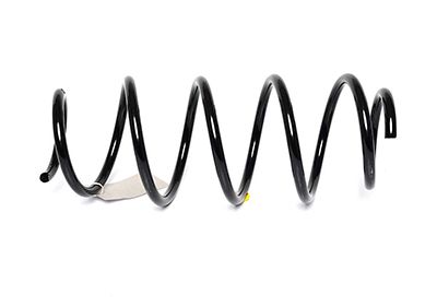 BSG 30-305-021 | Helezon Yayı Ön  Fiesta Bm 02-08