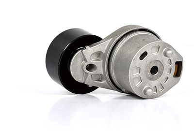 BSG 30-615-011 | V Kayış Gergi Rulmanı