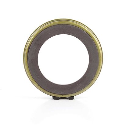 BSG 30-840-038 | ABS Sensör Halkası Arka Focus I Fiesta V Fusion Bm 98-