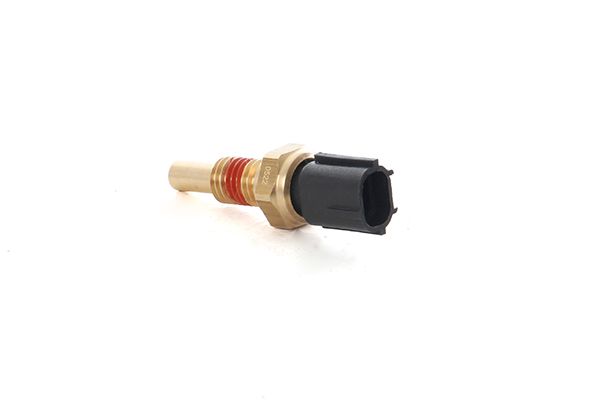 BSG 30-840-076 | Hararet Müşürü ( Silindir Kapaga Gelen ) Focus/Fiesta 1.6 Zetec 95-04