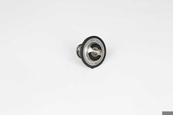 BSG 40-126-009 | Termostat 85 CC 54 Lük