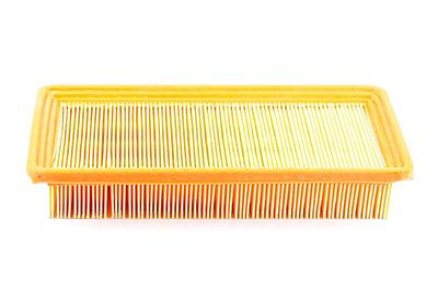 BSG 40-135-010 | Hava Filtresi