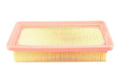 BSG 40-135-013 | Hava Filtresi