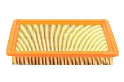 BSG 40-145-005 | Polen Filtresi Kasalı : Çiftli Karbonsuz H1 2.5 Dizel 08-