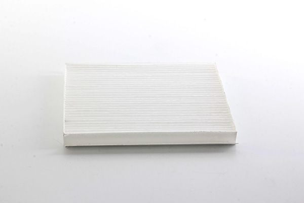 BSG 40-145-009 | Polen Filtresi Klima Filtresi Karbonsuz