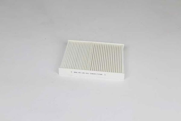 BSG 40-145-021 | Polen Filtresi Klima Filtresi Karbonsuz