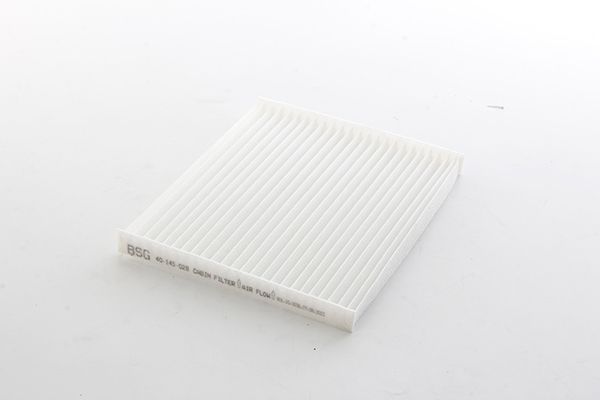BSG 40-145-028 | Polen Filtresi Tek Parça 97133G2000