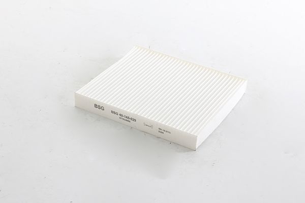 BSG 40-145-029 | Polen Filtresi 0