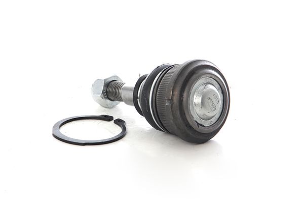 BSG 40-310-173 | Rotil Alt Salıncak Arka Alt