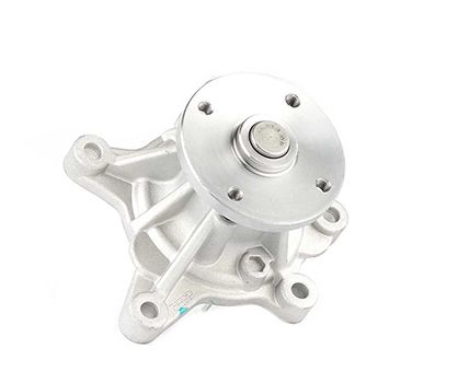 BSG 40-500-003 | Devirdaim Su Pompası