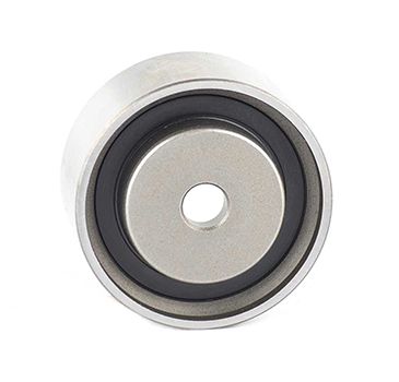 BSG 40-615-002 | Eksantrik Gergi Rulmanı Sabit