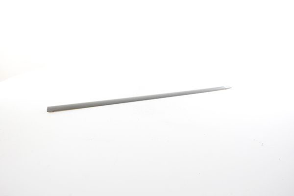 BSG 40-925-008 | Kapı Dırek Çıtası Ön Sol Boyanır Tip