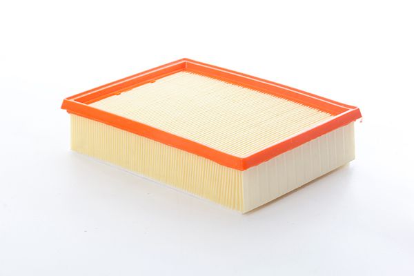 BSG 41-135-002 | Hava Filtresi .