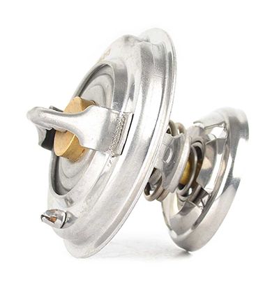 BSG 60-125-013 | Termostat