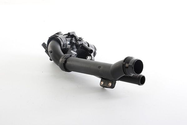 BSG 60-125-019 | Termostat  W204-205-213-212 M274 13-