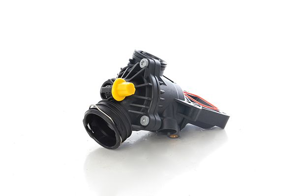 BSG 60-125-020 | Termostat