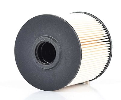 BSG 60-130-006 | Yakıt Filtresi Filtre Elemanı