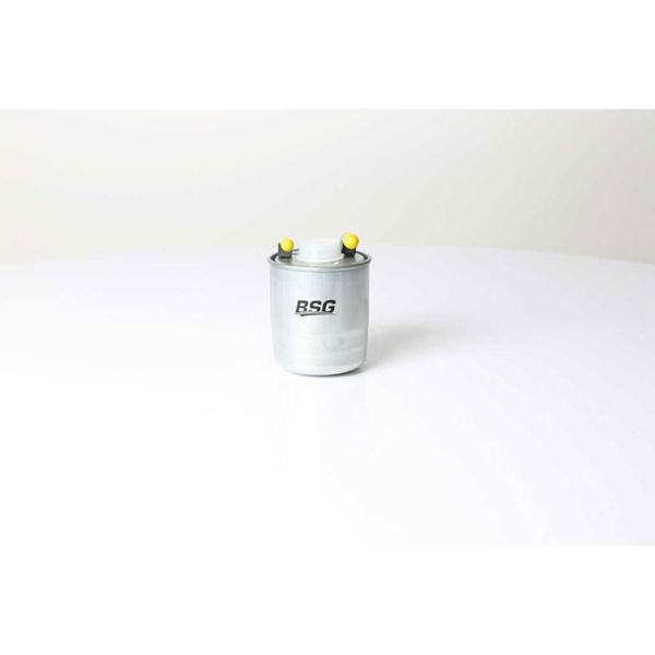 BSG 60-130-011 | Yakıt Filtresi