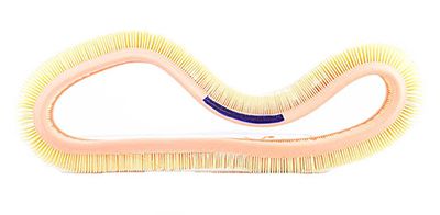 BSG 60-135-006 | Hava Filtresi Lx61-E172l -