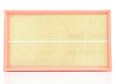 BSG 60-135-009 | Hava Filtresi