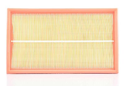 BSG 60-135-010 | Hava Filtresi