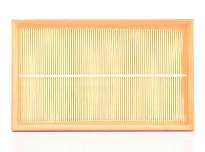 BSG 60-135-011 | Hava Filtresi