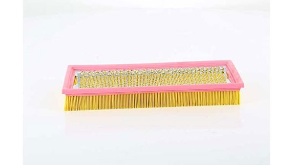 BSG 60-135-039 | Hava Filtresi