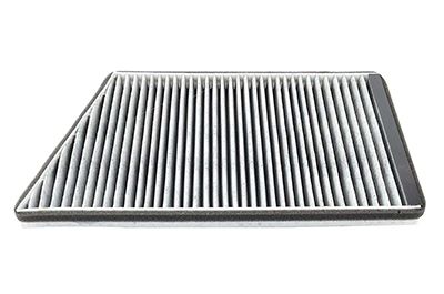 BSG 60-145-008 | Polen Filtresi Karbonsuz