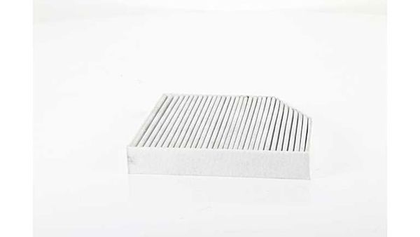 BSG 60-145-020 | Polen Filtresi Karbonlu