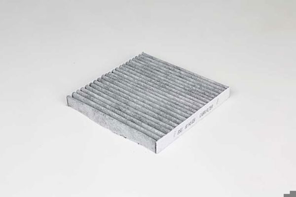 BSG 60-145-029 | Polen Filtresi Karbonlu