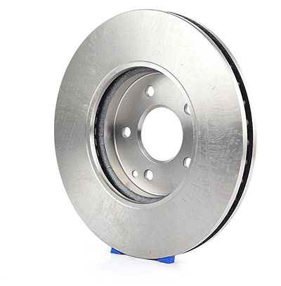 BSG 60-210-034 | Fren Diski Ön