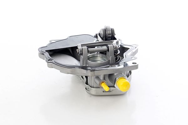 BSG 60-235-001 | Vakum Pompası