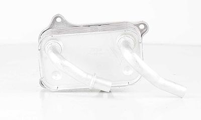 BSG 60-506-001 | Yağ Soğutucu Radyatörü