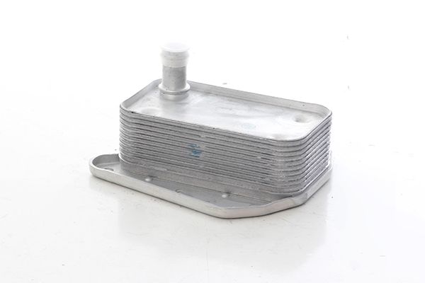 BSG 60-506-017 | Yağ Soğutucu Radyatörlerı