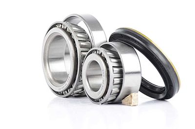 BSG 60-600-001 | Porya Rulmanı Ön