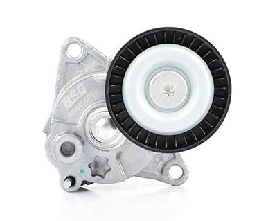 BSG 60-615-007 | V Kayış Gergi Rulmanı Komple