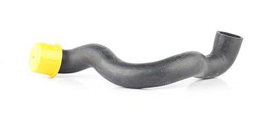 BSG 60-720-108 | Radyatör Hortumu Alt Sağ