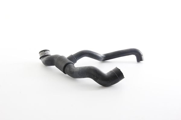 BSG 60-720-220 | Radyatör Hortumu Alt  203 112 00-07