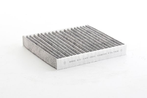BSG 63-145-001 | Polen Filtresi Karbon