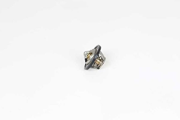 BSG 65-125-019 | Termostat 92 °C