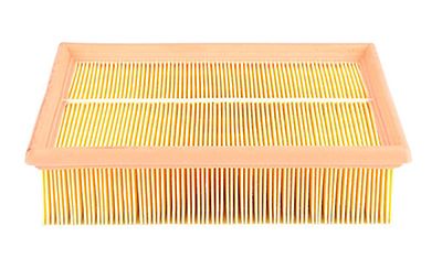 BSG 65-135-009 | Hava Filtresi