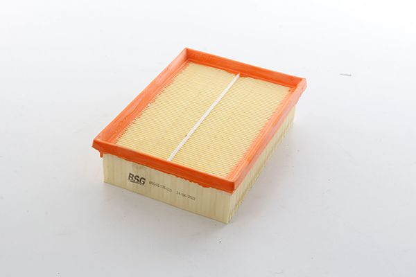 BSG 65-135-023 | Hava Filtresi