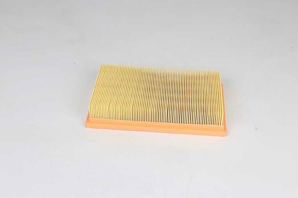 BSG 65-135-024 | Hava Filtresi  Agila A Z10xe Z12xe 00-08