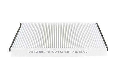 BSG 65-145-004 | Polen Filtresi Karbonsuz