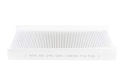BSG 65-145-005 | Polen Filtresi Karbonsuz