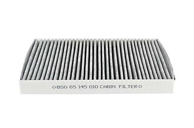 BSG 65-145-010 | Polen Filtresi Karbonlu
