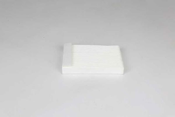 BSG 65-145-015 | Polen Filtresi Karbonsuz