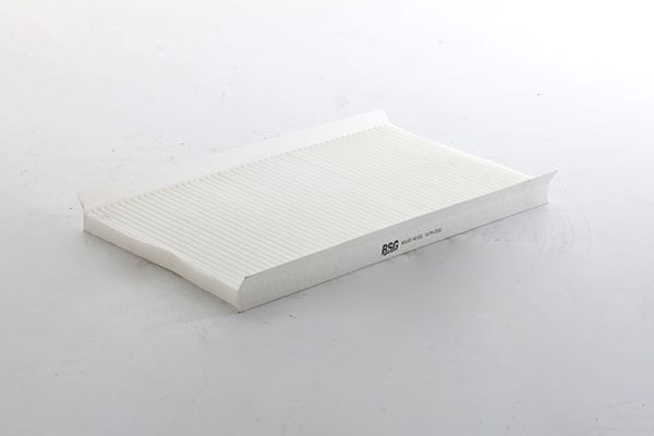 BSG 65-145-022 | Polen Filtresi Polen Filtresi
