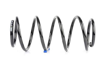 BSG 65-305-006 | Helezon Yayı Ön