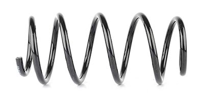 BSG 65-305-013 | Helezon Yayı Ön